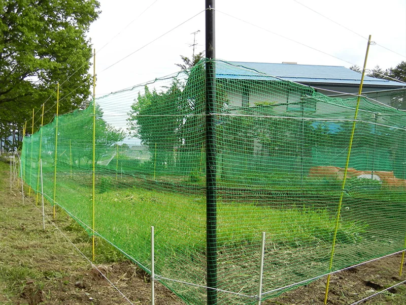 野菜農場での総合対策